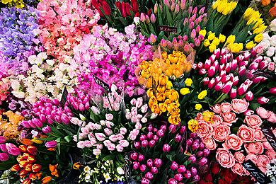 家用主机游戏《SPY×FAMILY 间谍过家家 日记大作战》即将登场！