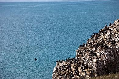 《魔法门之英雄无敌5》Steam现已追加官方中文